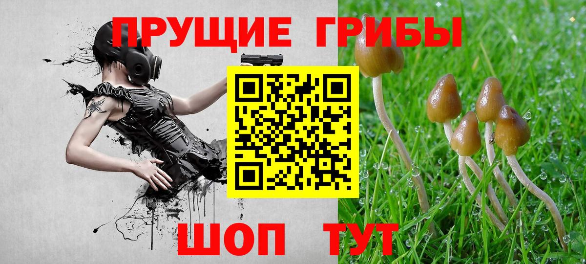 Псилоцибиновые грибы Cubensis Кузнецк