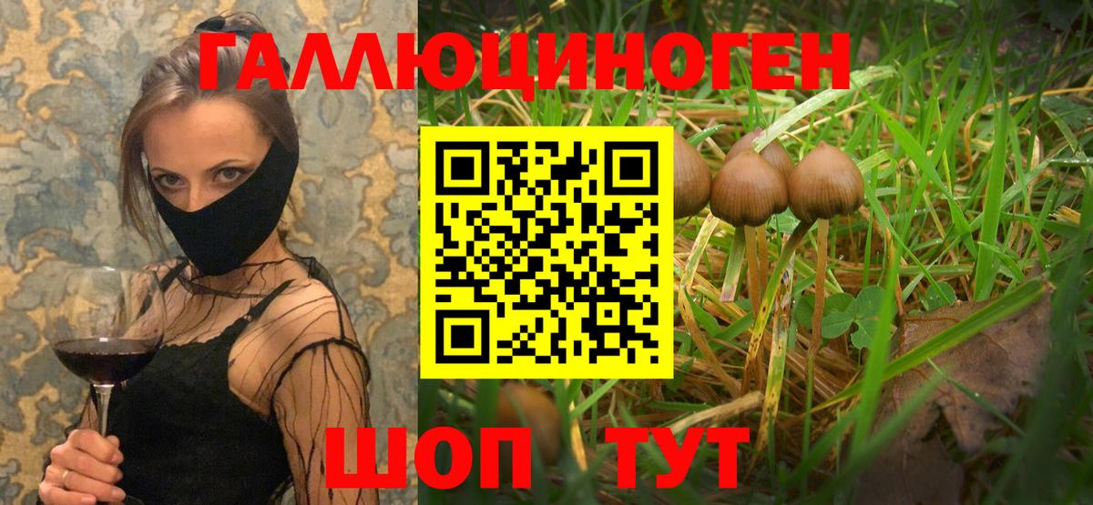 Амфетамин Кузнецк